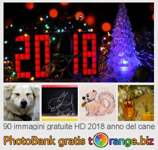 Banca Immagine di tOrange offre foto gratis nella sezione:  2018-anno-del-cane