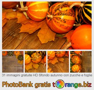 Banca Immagine di tOrange offre foto gratis nella sezione:  sfondo-autunno-con-zucche-e-foglie