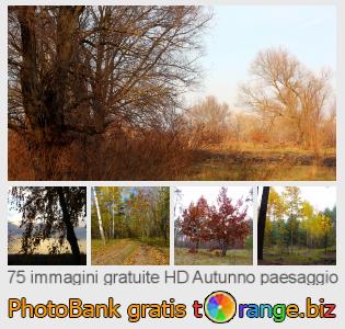 Banca Immagine di tOrange offre foto gratis nella sezione:  autunno-paesaggio