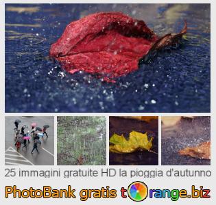 Banca Immagine di tOrange offre foto gratis nella sezione:  la-pioggia-dautunno