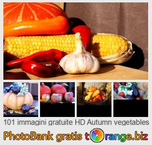 Banca Immagine di tOrange offre foto gratis nella sezione:  verdure-autunnali