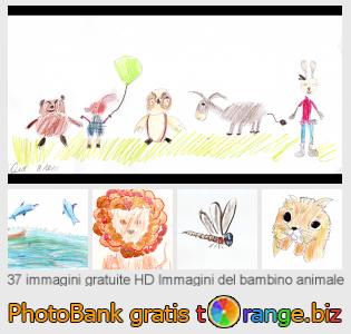 Banca Immagine di tOrange offre foto gratis nella sezione:  immagini-del-bambino-animale
