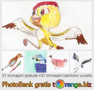 Banca Immagine di tOrange offre foto gratis nella sezione:  immagini-bambino-uccello