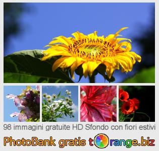 Banca Immagine di tOrange offre foto gratis nella sezione:  sfondo-con-fiori-estivi