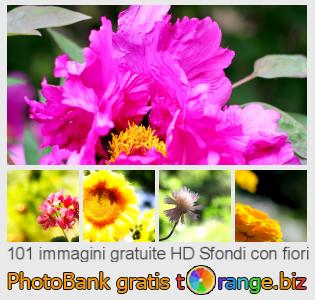 Banca Immagine di tOrange offre foto gratis nella sezione:  sfondi-con-fiori