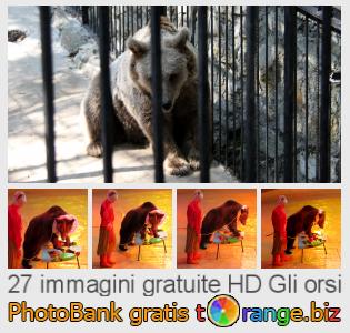 Banca Immagine di tOrange offre foto gratis nella sezione:  gli-orsi