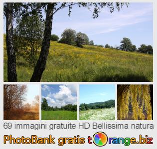 Banca Immagine di tOrange offre foto gratis nella sezione:  bellissima-natura