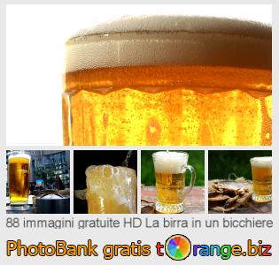 Banca Immagine di tOrange offre foto gratis nella sezione:  la-birra-un-bicchiere