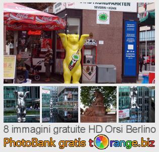 Banca Immagine di tOrange offre foto gratis nella sezione:  orsi-berlino