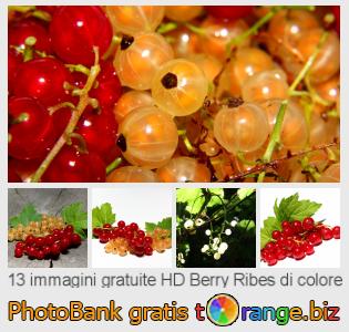 Banca Immagine di tOrange offre foto gratis nella sezione:  berry-ribes-di-colore