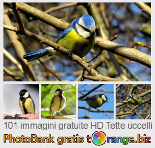 Banca Immagine di tOrange offre foto gratis nella sezione:  tette-uccelli