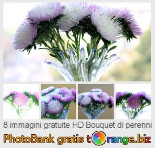 Banca Immagine di tOrange offre foto gratis nella sezione:  bouquet-di-perenni