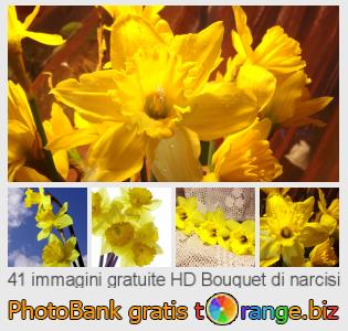 Banca Immagine di tOrange offre foto gratis nella sezione:  bouquet-di-narcisi