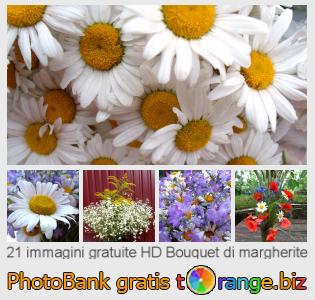 Banca Immagine di tOrange offre foto gratis nella sezione:  bouquet-di-margherite