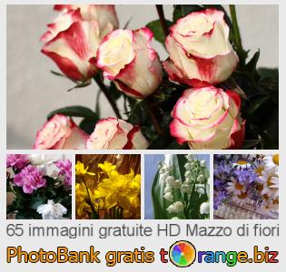 Banca Immagine di tOrange offre foto gratis nella sezione:  mazzo-di-fiori