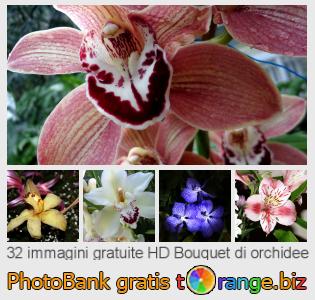 Banca Immagine di tOrange offre foto gratis nella sezione:  bouquet-di-orchidee