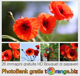 Banca Immagine di tOrange offre foto gratis nella sezione:  bouquet-di-papaveri