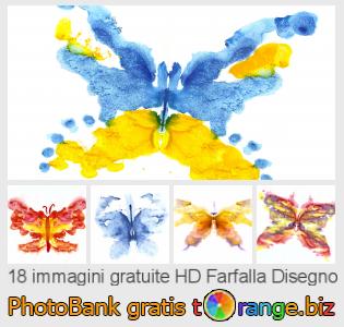 Banca Immagine di tOrange offre foto gratis nella sezione:  farfalla-disegno