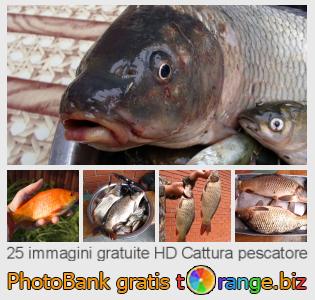 Banca Immagine di tOrange offre foto gratis nella sezione:  cattura-pescatore
