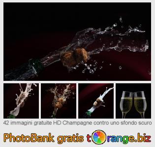 Banca Immagine di tOrange offre foto gratis nella sezione:  champagne-contro-uno-sfondo-scuro
