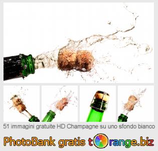 Banca Immagine di tOrange offre foto gratis nella sezione:  champagne-su-uno-sfondo-bianco