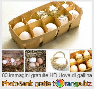 Banca Immagine di tOrange offre foto gratis nella sezione:  uova-di-gallina