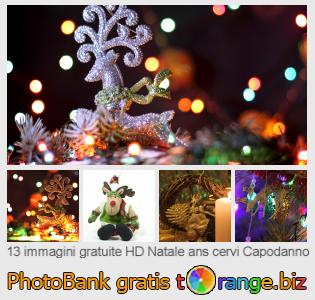 Banca Immagine di tOrange offre foto gratis nella sezione:  natale-ans-cervi-capodanno