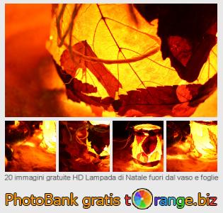 Banca Immagine di tOrange offre foto gratis nella sezione:  lampada-di-natale-fuori-dal-vaso-e-foglie