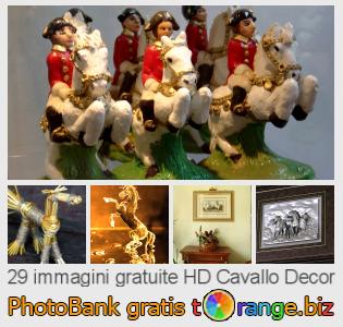Banca Immagine di tOrange offre foto gratis nella sezione:  cavallo-decor