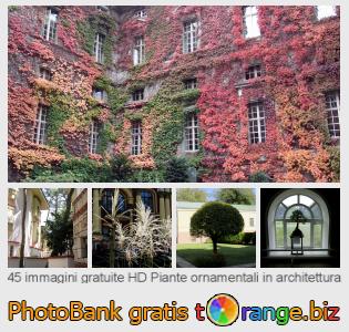Banca Immagine di tOrange offre foto gratis nella sezione:  piante-ornamentali-architettura