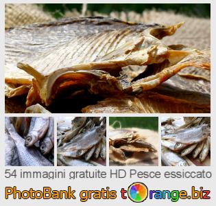 Banca Immagine di tOrange offre foto gratis nella sezione:  pesce-essiccato