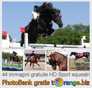 Banca Immagine di tOrange offre foto gratis nella sezione:  sport-equestri