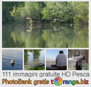 Banca Immagine di tOrange offre foto gratis nella sezione:  pesca
