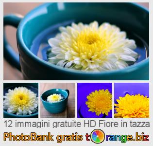 Banca Immagine di tOrange offre foto gratis nella sezione:  fiore-tazza