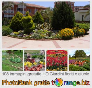 Banca Immagine di tOrange offre foto gratis nella sezione:  giardini-fioriti-e-aiuole