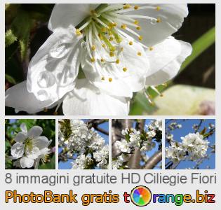 Banca Immagine di tOrange offre foto gratis nella sezione:  ciliegie-fiori