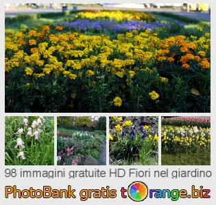 Banca Immagine di tOrange offre foto gratis nella sezione:  fiori-nel-giardino