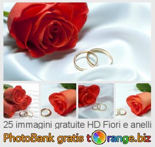 Banca Immagine di tOrange offre foto gratis nella sezione:  fiori-e-anelli