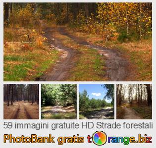 Banca Immagine di tOrange offre foto gratis nella sezione:  strade-forestali