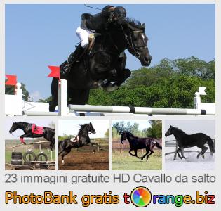 Banca Immagine di tOrange offre foto gratis nella sezione:  cavallo-da-salto