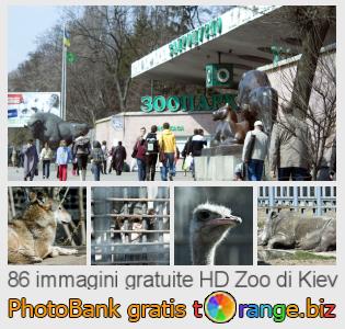 Banca Immagine di tOrange offre foto gratis nella sezione:  zoo-di-kiev