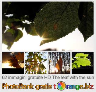 Banca Immagine di tOrange offre foto gratis nella sezione:  la-foglia-con-il-sole