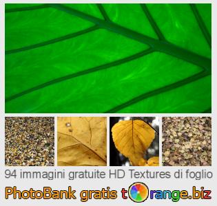 Banca Immagine di tOrange offre foto gratis nella sezione:  textures-di-foglio