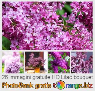 Banca Immagine di tOrange offre foto gratis nella sezione:  lilac-bouquet