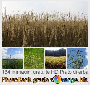 Banca Immagine di tOrange offre foto gratis nella sezione:  prato-di-erba