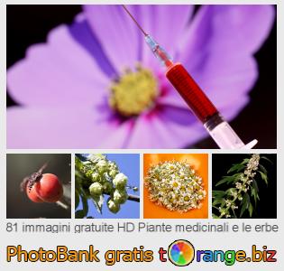 Banca Immagine di tOrange offre foto gratis nella sezione:  piante-medicinali-e-le-erbe