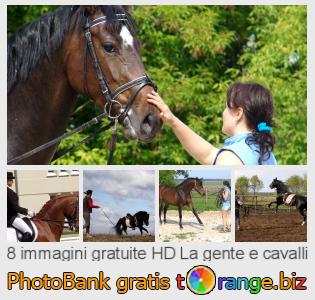 Banca Immagine di tOrange offre foto gratis nella sezione:  la-gente-e-cavalli