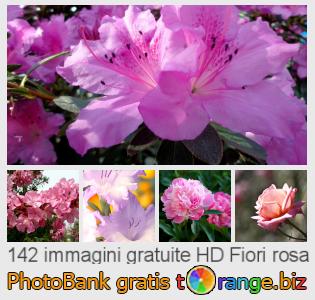 Banca Immagine di tOrange offre foto gratis nella sezione:  fiori-rosa