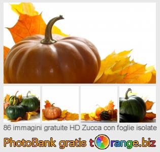 Banca Immagine di tOrange offre foto gratis nella sezione:  zucca-con-foglie-isolate