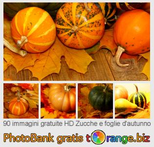 Banca Immagine di tOrange offre foto gratis nella sezione:  zucche-e-foglie-dautunno